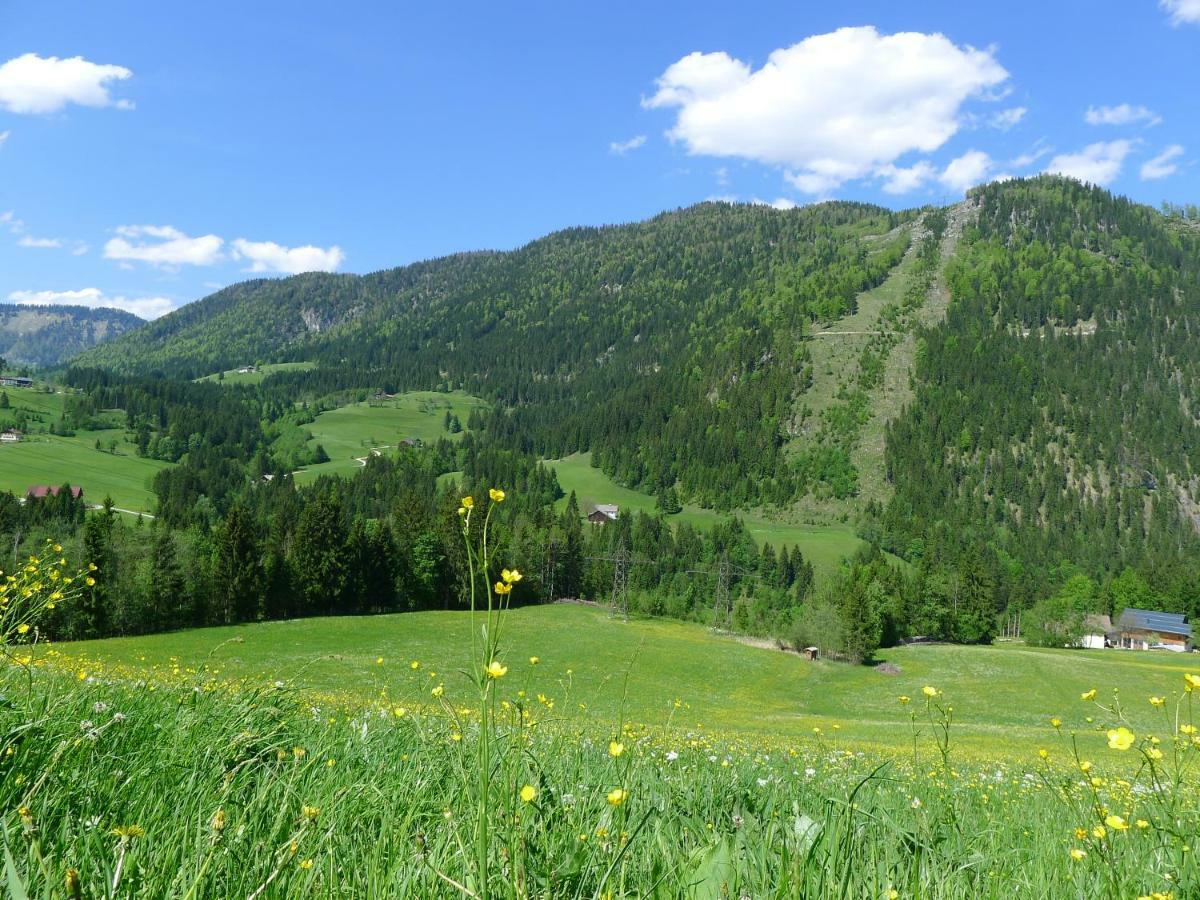 Appartement Alpenhaus Dachstein.Zauber à Abtenau Extérieur photo