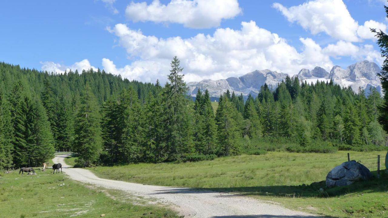 Appartement Alpenhaus Dachstein.Zauber à Abtenau Extérieur photo