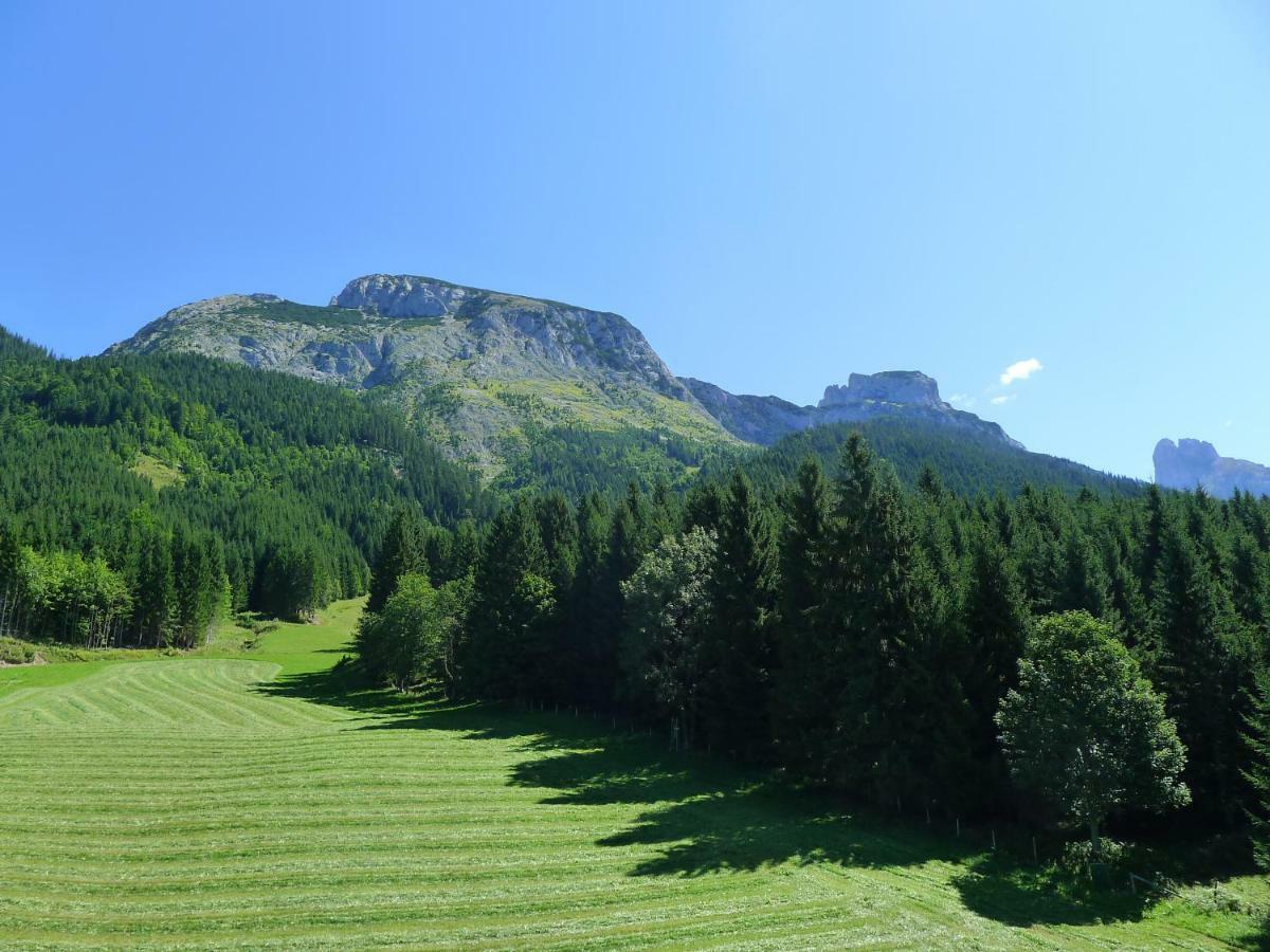 Appartement Alpenhaus Dachstein.Zauber à Abtenau Extérieur photo