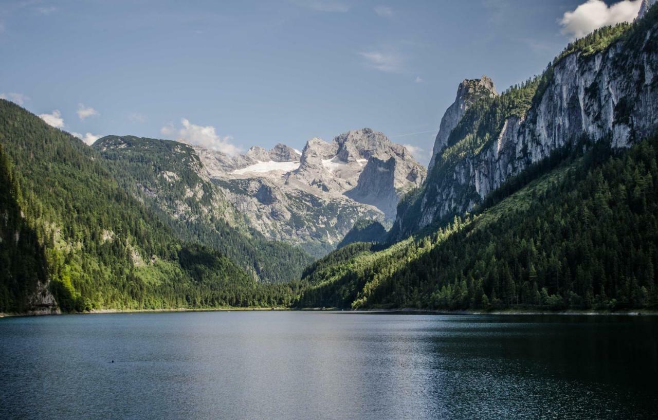 Appartement Alpenhaus Dachstein.Zauber à Abtenau Extérieur photo