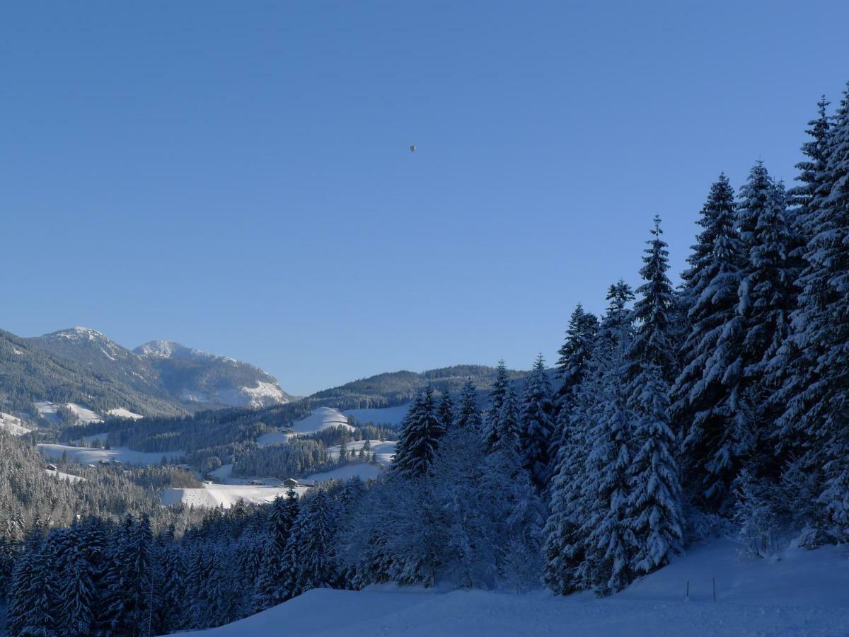 Appartement Alpenhaus Dachstein.Zauber à Abtenau Extérieur photo