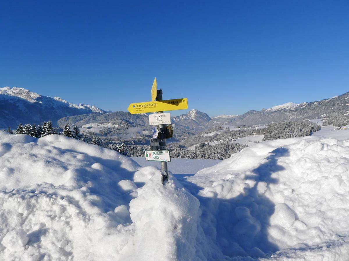 Appartement Alpenhaus Dachstein.Zauber à Abtenau Extérieur photo